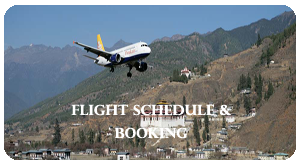 Flight Schedule