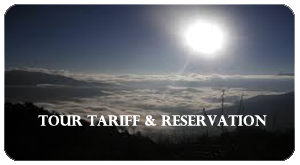 Tariff Policy